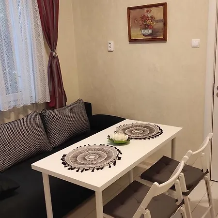 Séjour chez l'habitant Central-sheynovo *