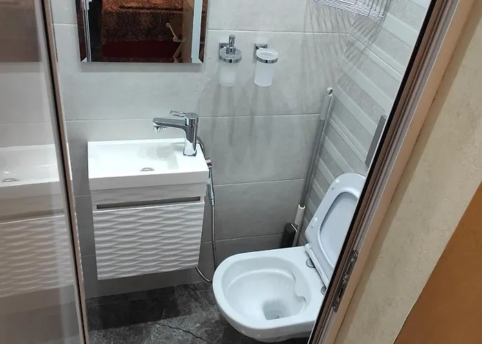 Central-sheynovo Gazde/Camere de închiriat *