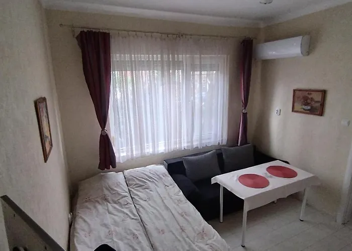 Central-sheynovo Gazde/Camere de închiriat *